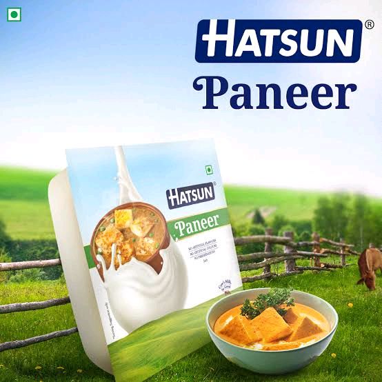 Hatsun Paneer 200g